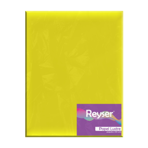 PAPEL LUSTRE - PC-R100132