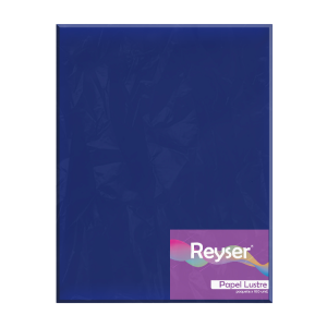 PAPEL LUSTRE - PC-R100513