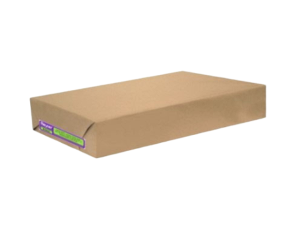 PAPEL PERIODICO - R100281