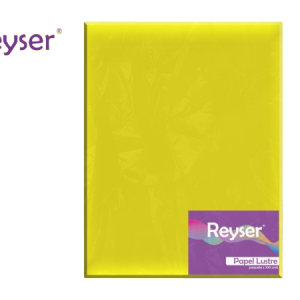 PAPEL LUSTRE - R100494