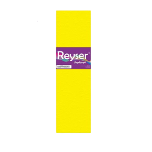 PAPEL CREPE - R100569