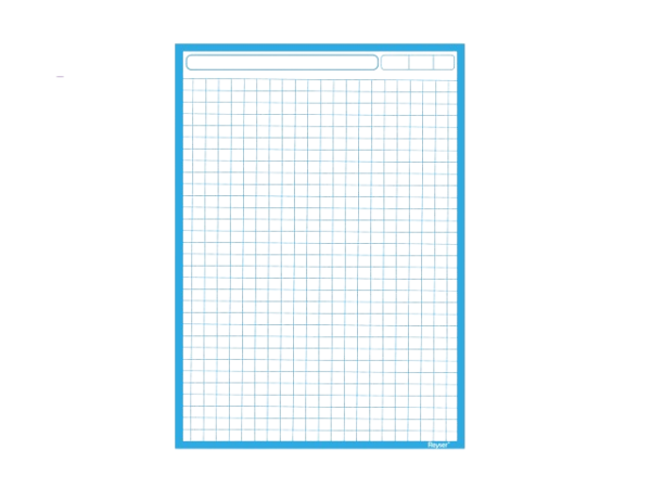 PAPELOGRAFO - R100684