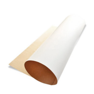 CARTULINA - R100738