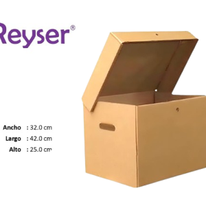 CAJA ARCHIVADORA CON TAPA - R100848