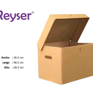 CAJA ARCHIVADORA CON TAPA - R100849