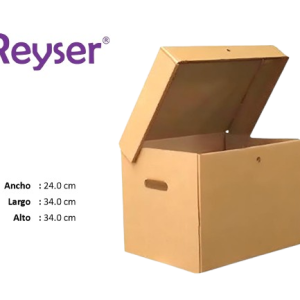 CAJA ARCHIVADORA CON TAPA - R100850
